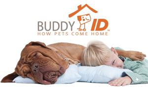 Buddy ID Mini Chip. Just for Pets.