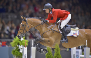 ISO Microchips are required at FEI events